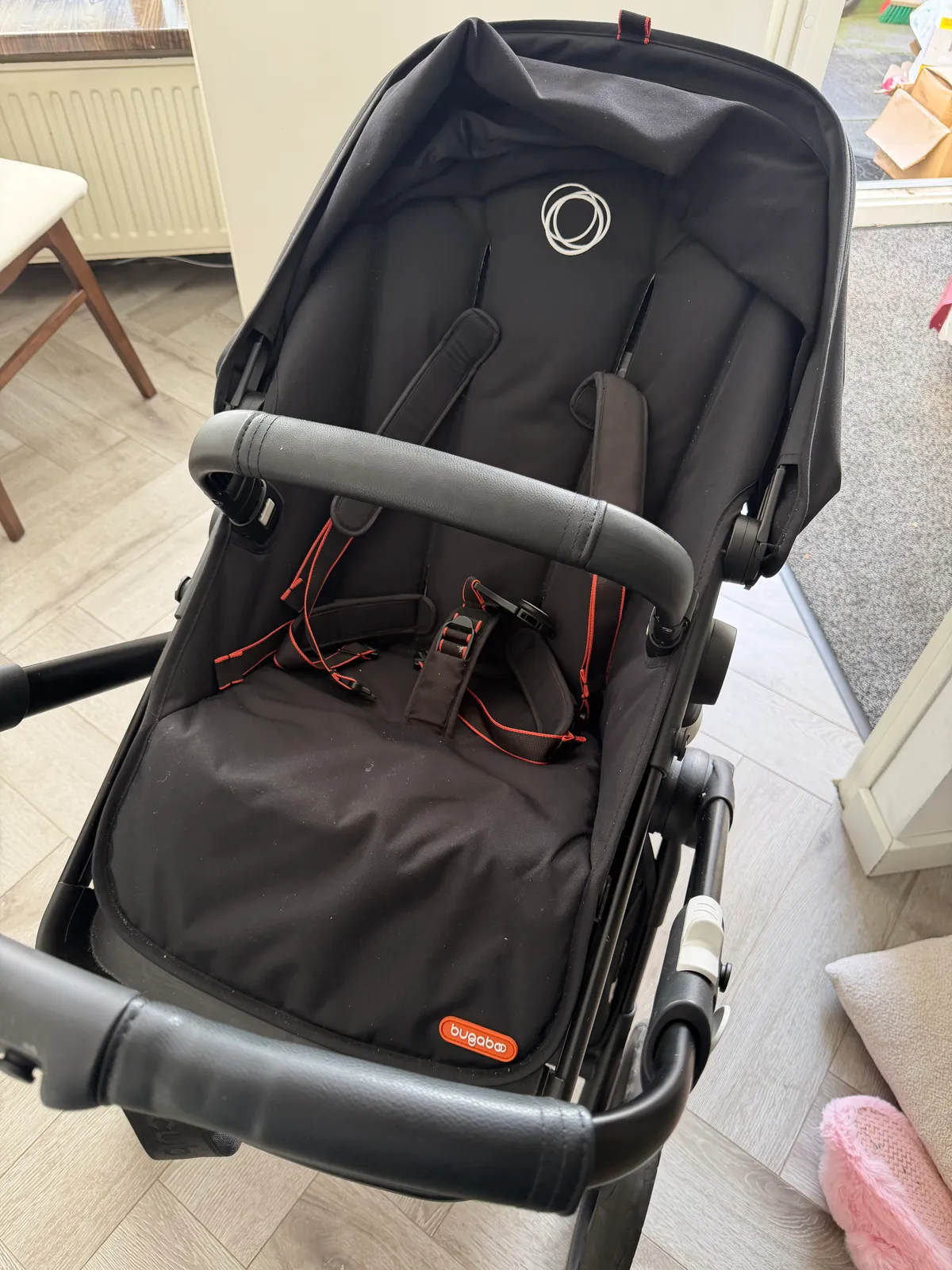 Bugaboo fox cub