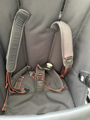 Bugaboo fox cub 4