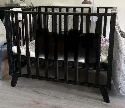 Box Julia Babydump 2021