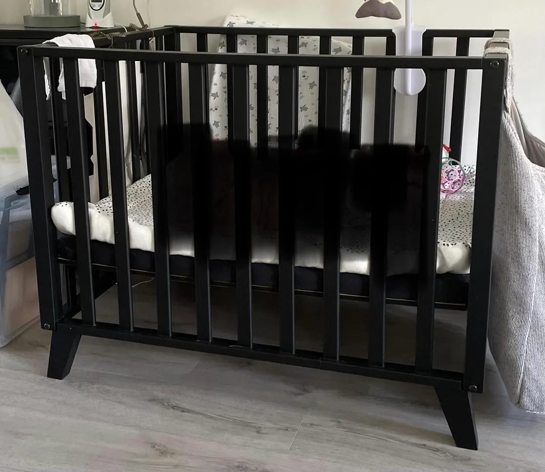 Box Julia Babydump 2021